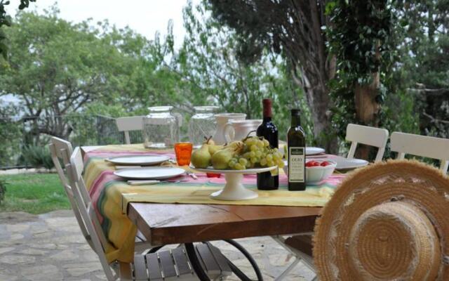 Acerona di Francesco Bologna