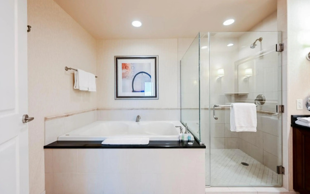 StripViewSuites at Signature