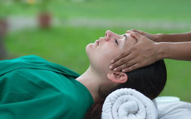 Somatheeram Ayurveda Village