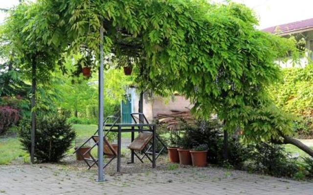 La Volpe E L'uva