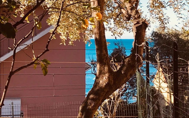 Happy House Bogliasco