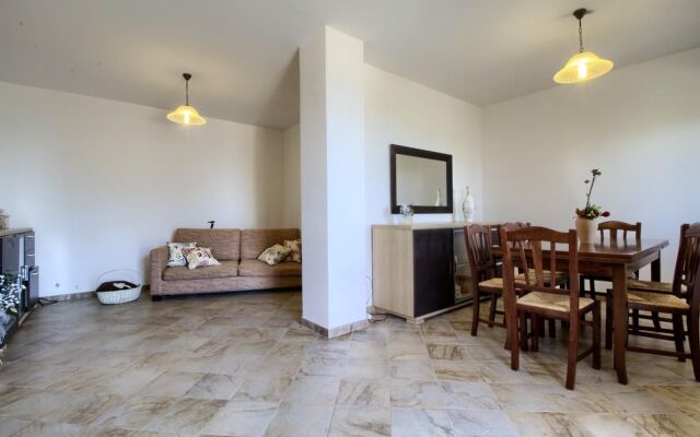 Pino Amazing Seaview