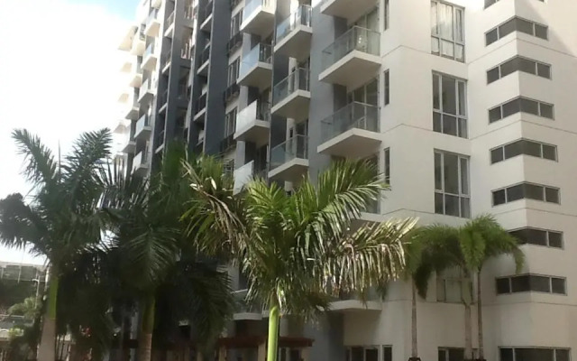 Palm Tree - Genlex Condominium