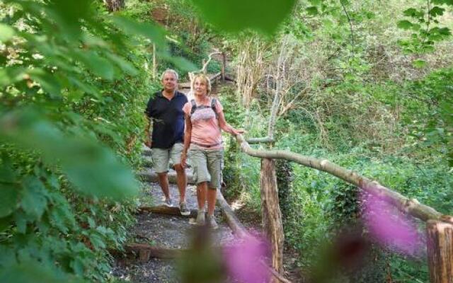 Camping De Gronselenput