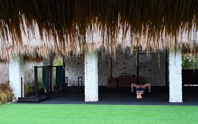 The Canopy