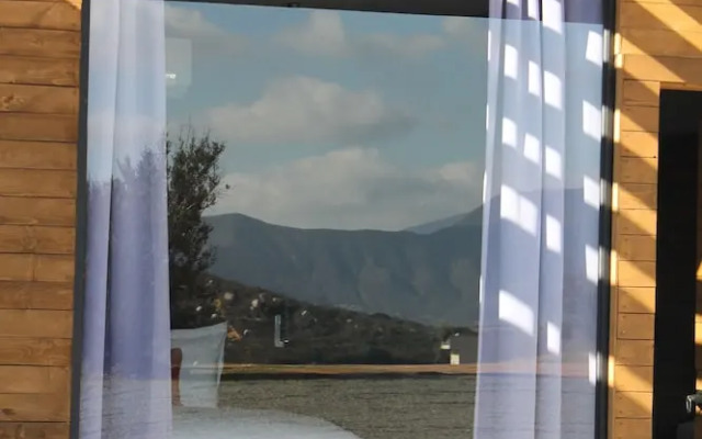 Pulso Valle de Guadalupe