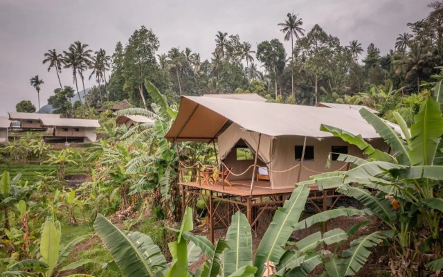 Kaura Bali