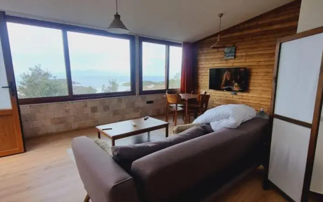 Sole Foça