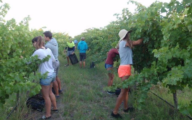 McLaren Vale Backpackers