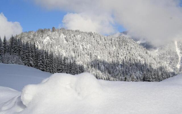 Alpengasthof Oberweissbach