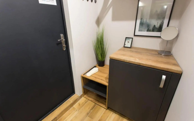 Cozy apartment in the Center - Podilskyi lane 7