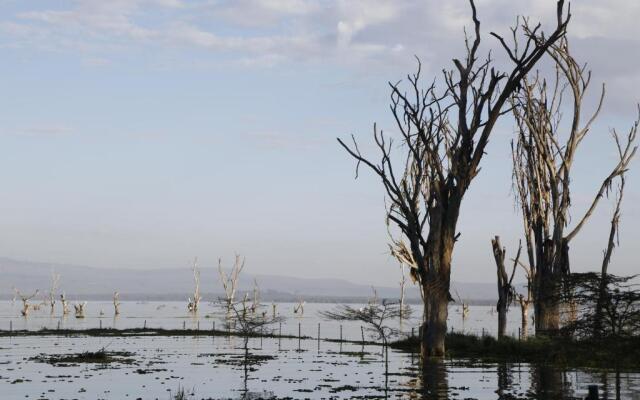 Lake Naivasha Resort