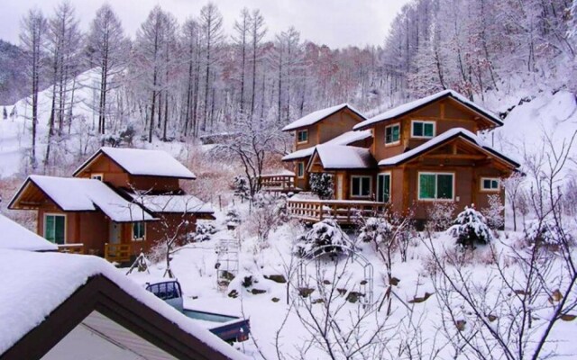 Pyeongchang Eomeonipumsok Maeul Pension