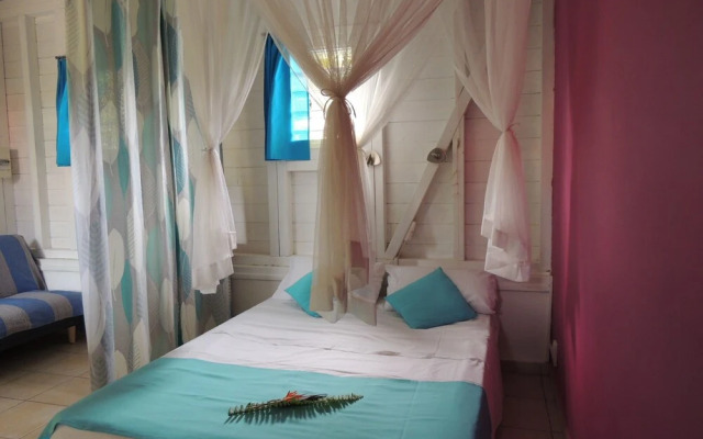 Blue Kaz Caraïb-Kaz Indigo