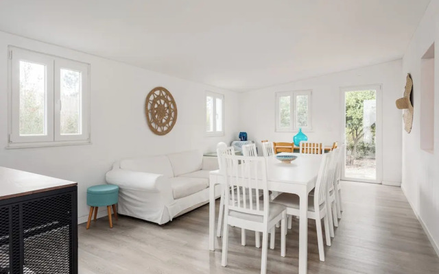 Pinhal da Praia em Melides