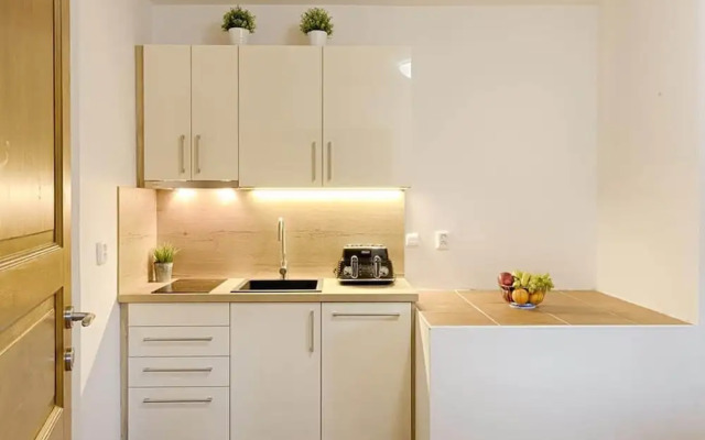 Fully-furnished Villa in Harrachov