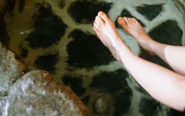 Hakonowa Hot spring inn