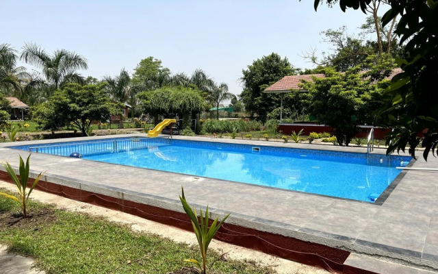 Mango Tree Farm