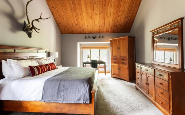 Salishan Lane - Skylight