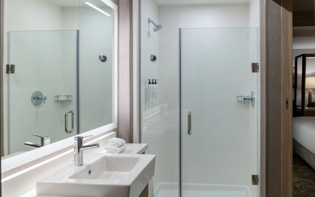 SpringHill Suites by Marriott Pleasanton