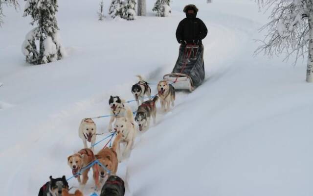 Aurora Mountain Lodge