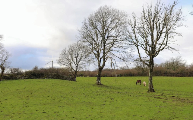 Ynys Uchaf