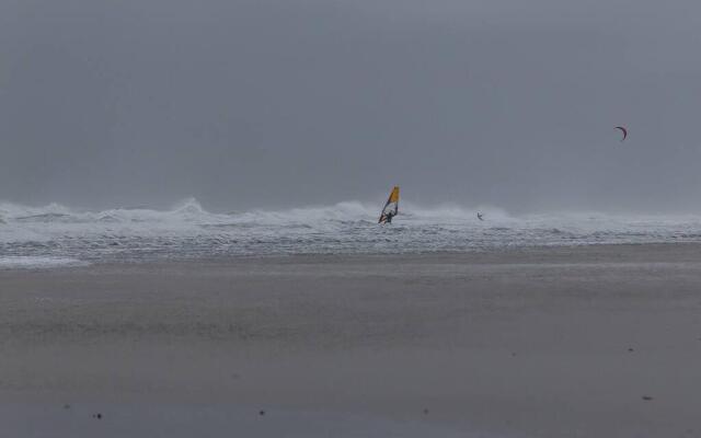 Boszicht aan de Kust 2