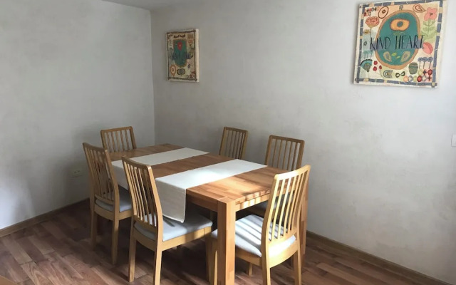 Aki Gray Apartment Serene Oasis