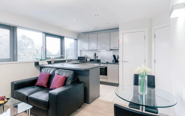 Roomspace Apartments -New Manor House