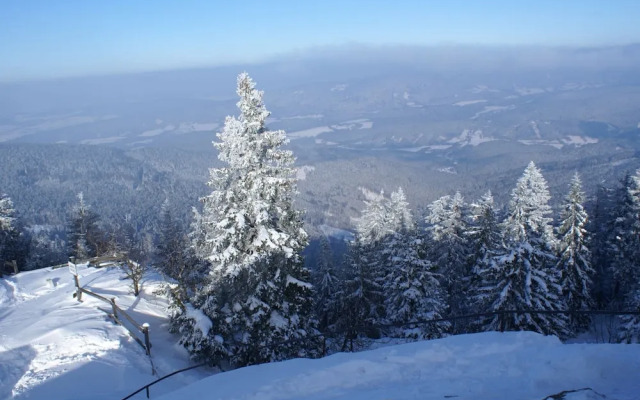 Apartment in the Bavarian Forest With Sauna