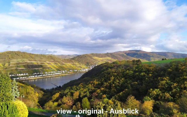 Schau-Rhein#1 - On top of Bacharach, Rhineview