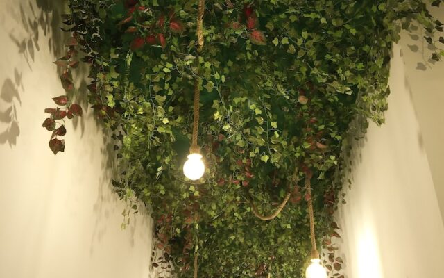 Vagamundo Hostel