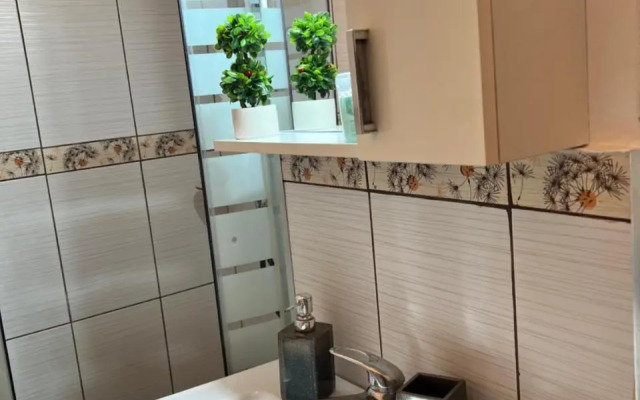 Miha modern and central apartament Malul Mureșului
