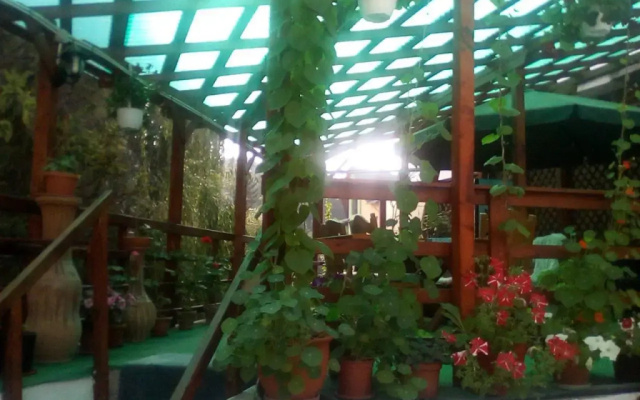 Casa Olanescu