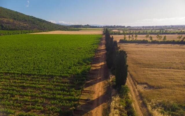 Antica Fattoria La Parrina - Orbetello