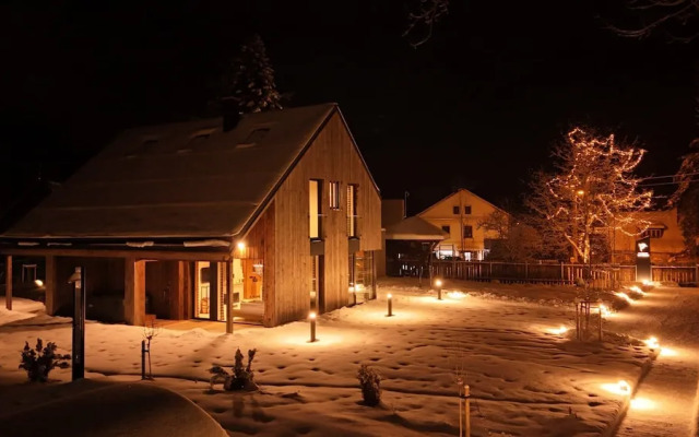 Villa in Cerny Dul With Pool & Sauna