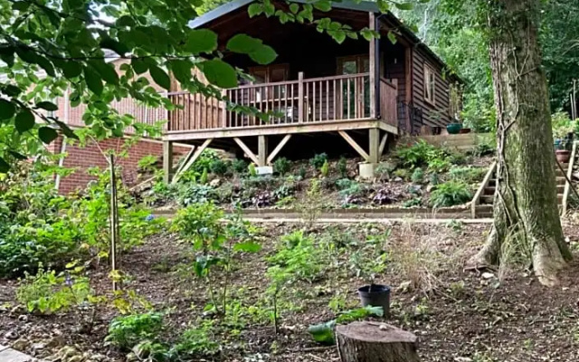 Woodland Views
