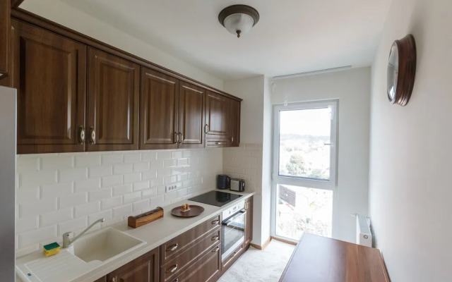 Cluj Lux Apartments Platinia