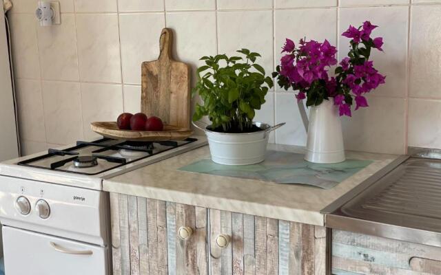 Apartments Ivan - 60m from the sea