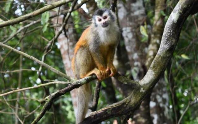 Hotel Manuel Antonio Park