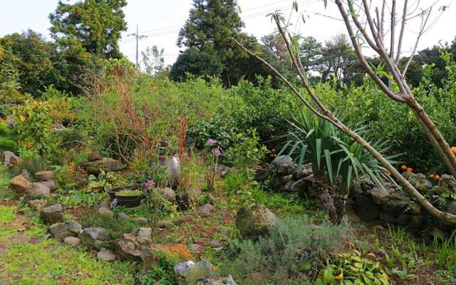 Doldam Path Pension