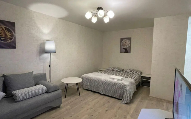 Апартаменты на площади Гагарина