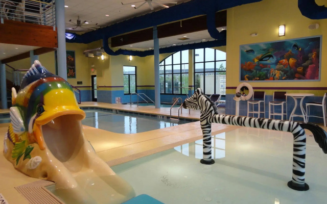 Holiday Inn Express Hotel & Suites Rogers by IHG