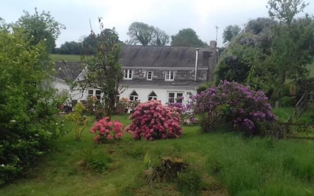 Hills Farm B&B Laugharne