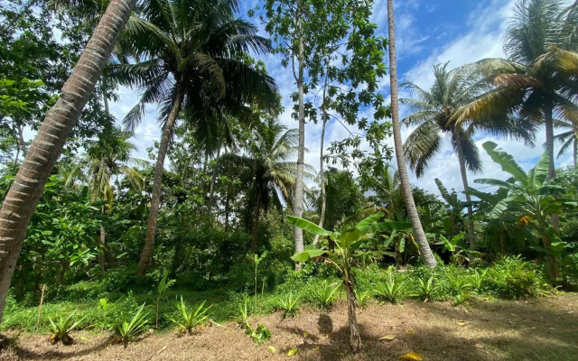 Siri Medura Surf Yoga Meditation Guesthouse And Hostel