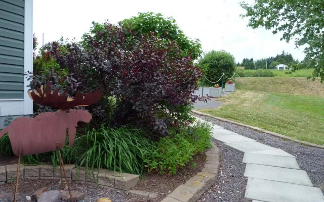 Rose and Thistle Bed and Breakfast