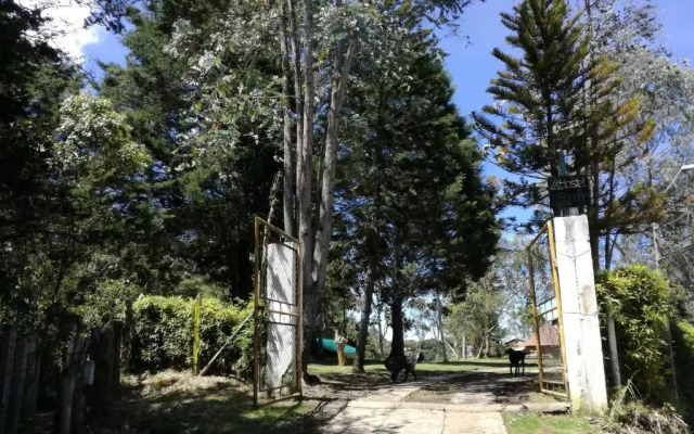 al Bosque Hostel & Glamping