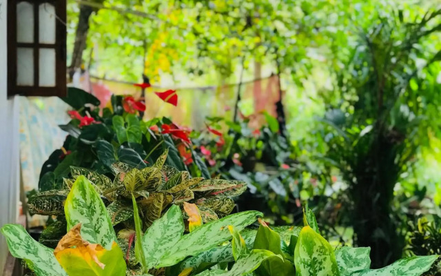 Sigiri Lakshan Home Stay