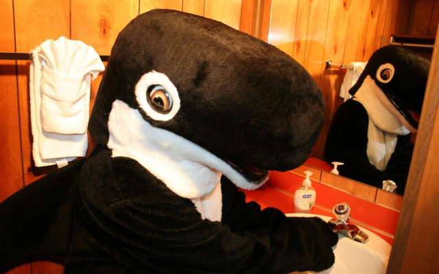The Orca Inn