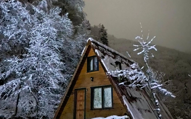 Senoz Mountain House - Bungalow